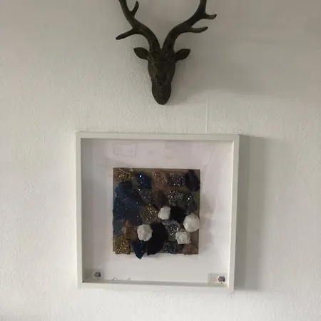 Messe Апартаменты *